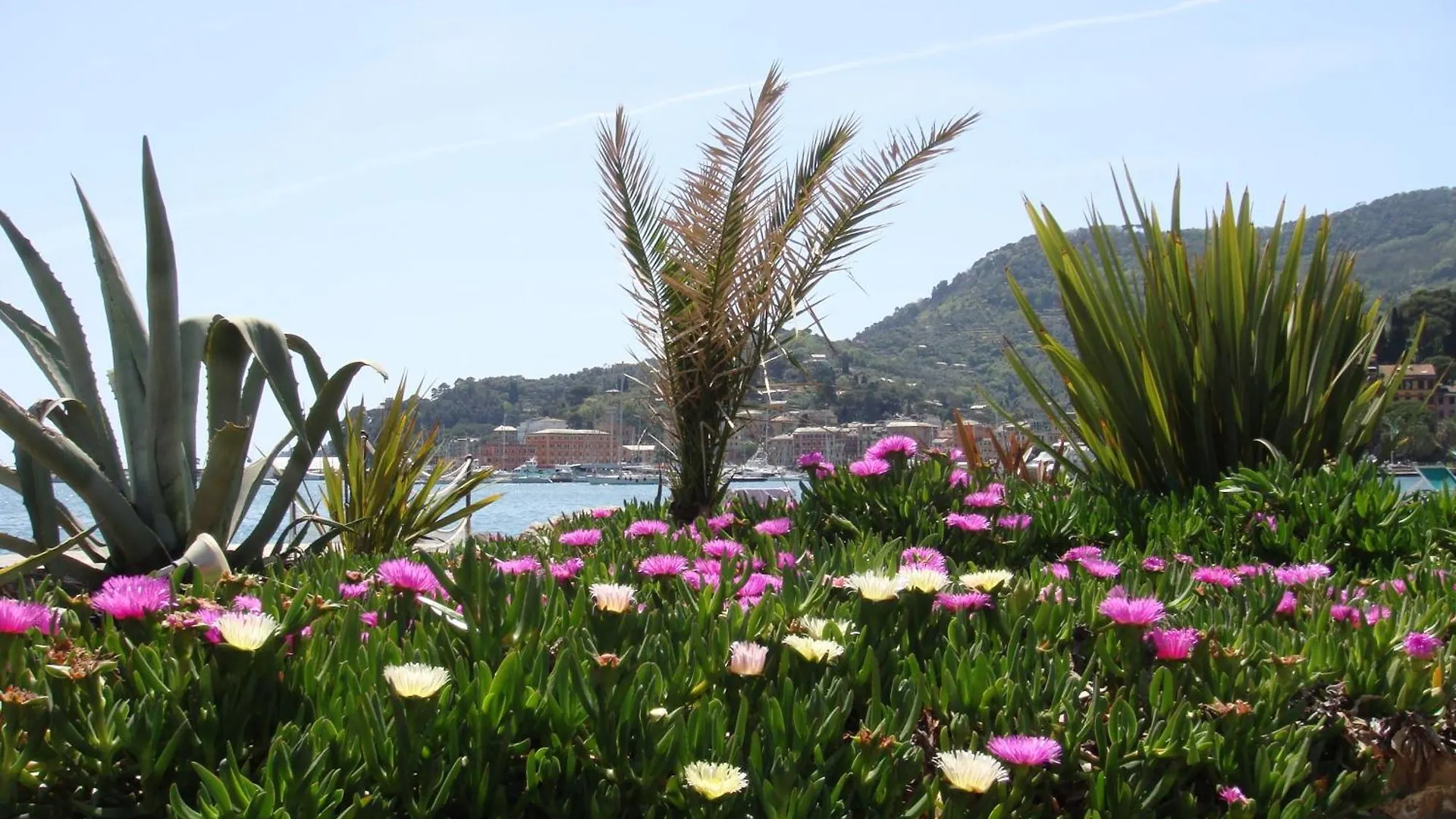 Hotel Helios Santa Margherita Ligure 4*,